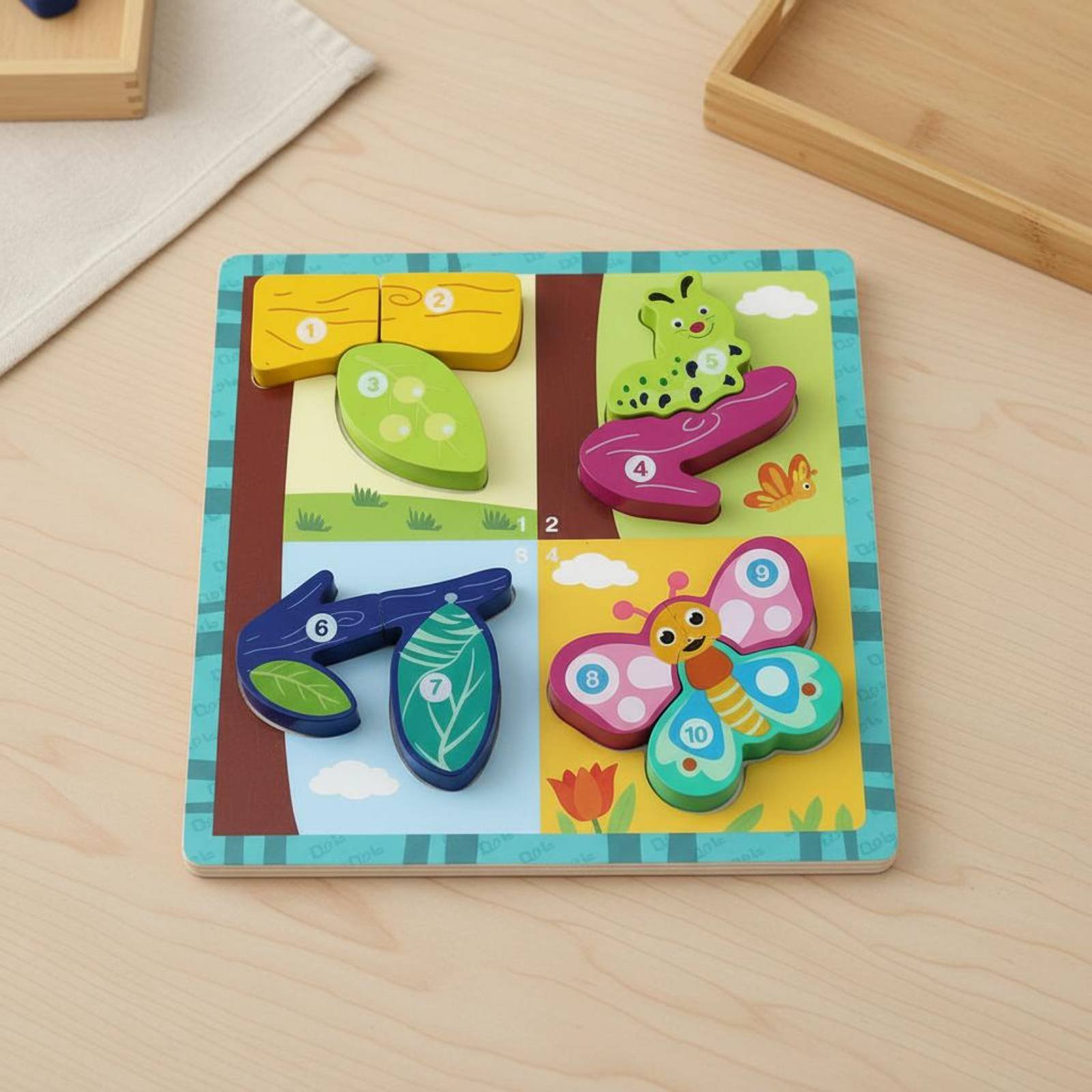 成長ボードゲームボード 認知発達 生物成長ボードゲーム 子供 - Board Game Nature のレビューと価格